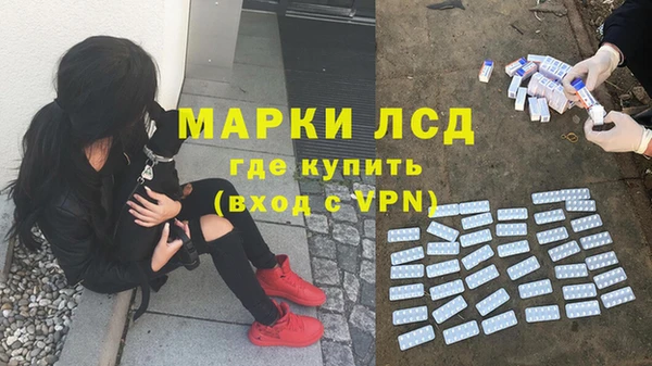 мяу мяу мука Алексеевка