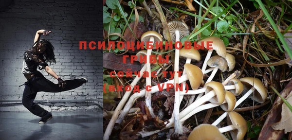 spice Абдулино