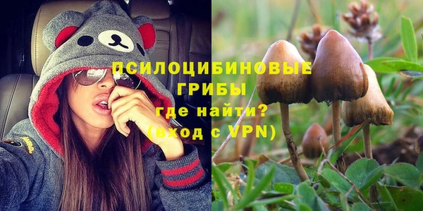 спайс Алзамай