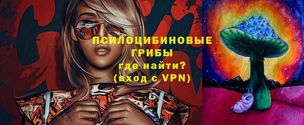 гидропоника Абаза